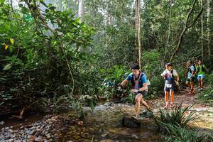 BIB: 
                            <button type="button" onclick="openModal(22349636)" class="btn btn-primary btn-sm float-right btn-popup" data-toggle="modal" data-target=".modal-high-quality">
                        <i class="fas fa-shopping-cart"></i> Add to Cart
                    </button>
                                            <button type="button" onclick="isThisMe(22349636, true)" class="btn btn-success btn-sm float-right btn-popup btn-isme hidden" data-toggle="tooltip" data-placement="bottom" title="นี่คือรูปของคุณใช่ไหม คลิกที่นี่เพื่อเอาเข้าอัลบั้ม">
                        <i class="fas fa-plus"></i> Add to album
                    </button>
                    <button type="button" onclick="isThisMe(22349636, false)" class="btn btn-warning btn-sm float-right btn-popup btn-isnotme hidden">
                        <i class="fas fa-ban"></i> Remove from album
                    </button>